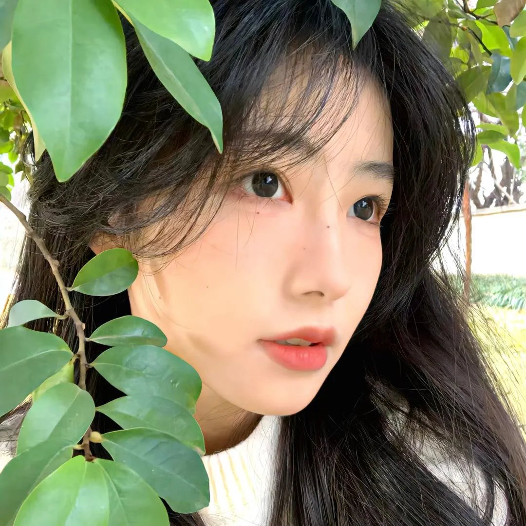 致命鳄鱼